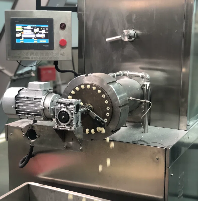 Macaroni exiting an industrial Zhuoheng forming head